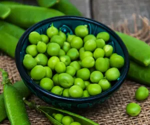 سبز مٹر غذائیت سے بھرپور ہوتے ہیں