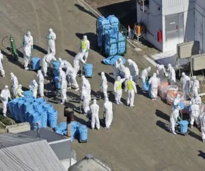 جاپان نے کیوٹو میں برڈ فلو کے انفیکشن کی تصدیق کردی: وزارت زراعت