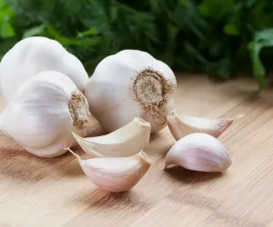 لہسن قدیم زمانے سے بطور دوا استعمال ہوتا رہا ہے