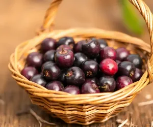 پھلسا موسم گرما کو ٹھنڈا کرنے والا قدرتی پھل سمجھا جاتا ہے