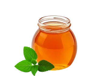 صبح خالی پیٹ تلسی اور شہد کا پانی پینا صحت کے لیے فائدہ مند ہے