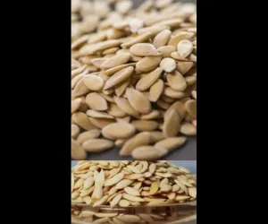 صحت کا راز خربوزے کے بیجوں میں پنہاں ہے