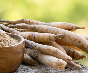 Shatavari ایک معجزاتی اور سستی دوا ہے