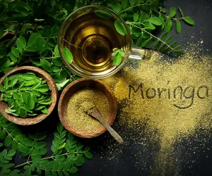 مورنگا کا پودا آیوروید میں ایک اہم مقام رکھتا ہے