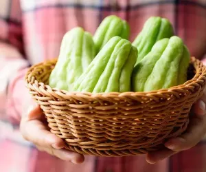 چایوٹ ایک غذائیت سے بھرپور سبزی ہے