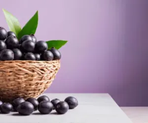 جامن کے درخت کا پھل، بیج اور چھال سبھی دواؤں کی خصوصیات سے مالا مال ہیں