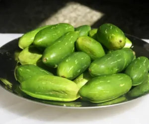 کندرو غذائی خصوصیات سے بھرپور ہے