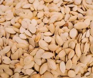 کدو کے بیج غذائی اجزاء سے بھرپور ہوتے ہیں