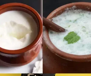 ہندوستانی کھانوں میں دہی کو ایک خاص مقام حاصل ہے
